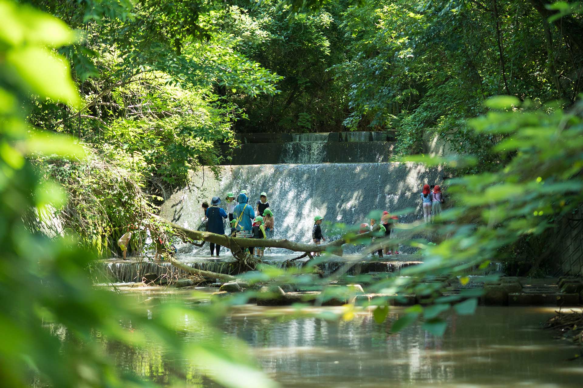 山鹿市かおう保育園 自然と子どもたちがつくりだす世界