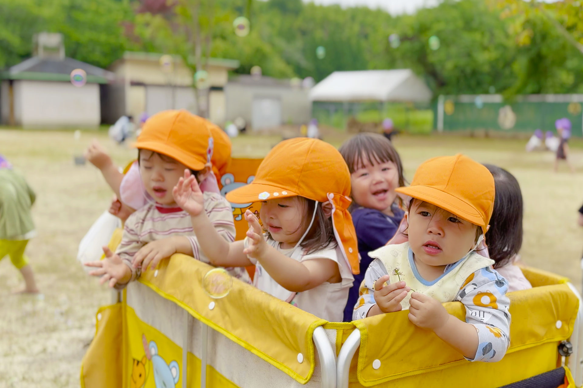 山鹿市かおう保育園 子どもたちの世界は まいにちが発見・感動の 連続です