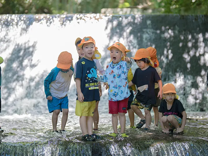 かおう保育園 自然体験 ことりの森