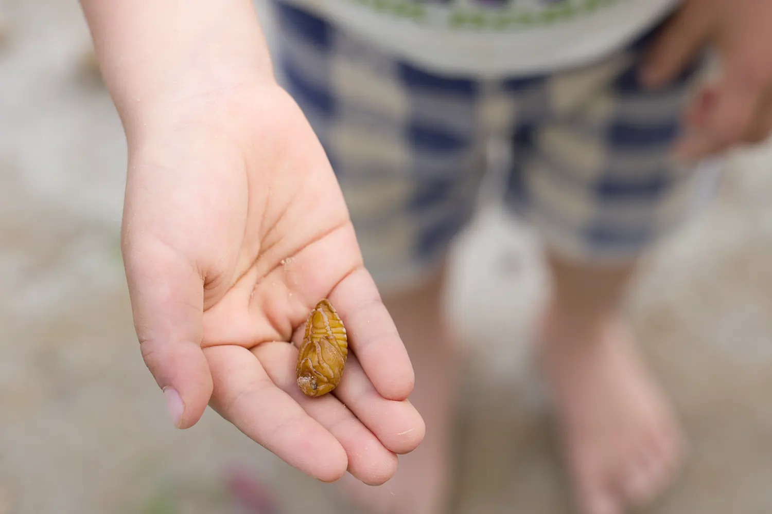 知性を育むリアリズム