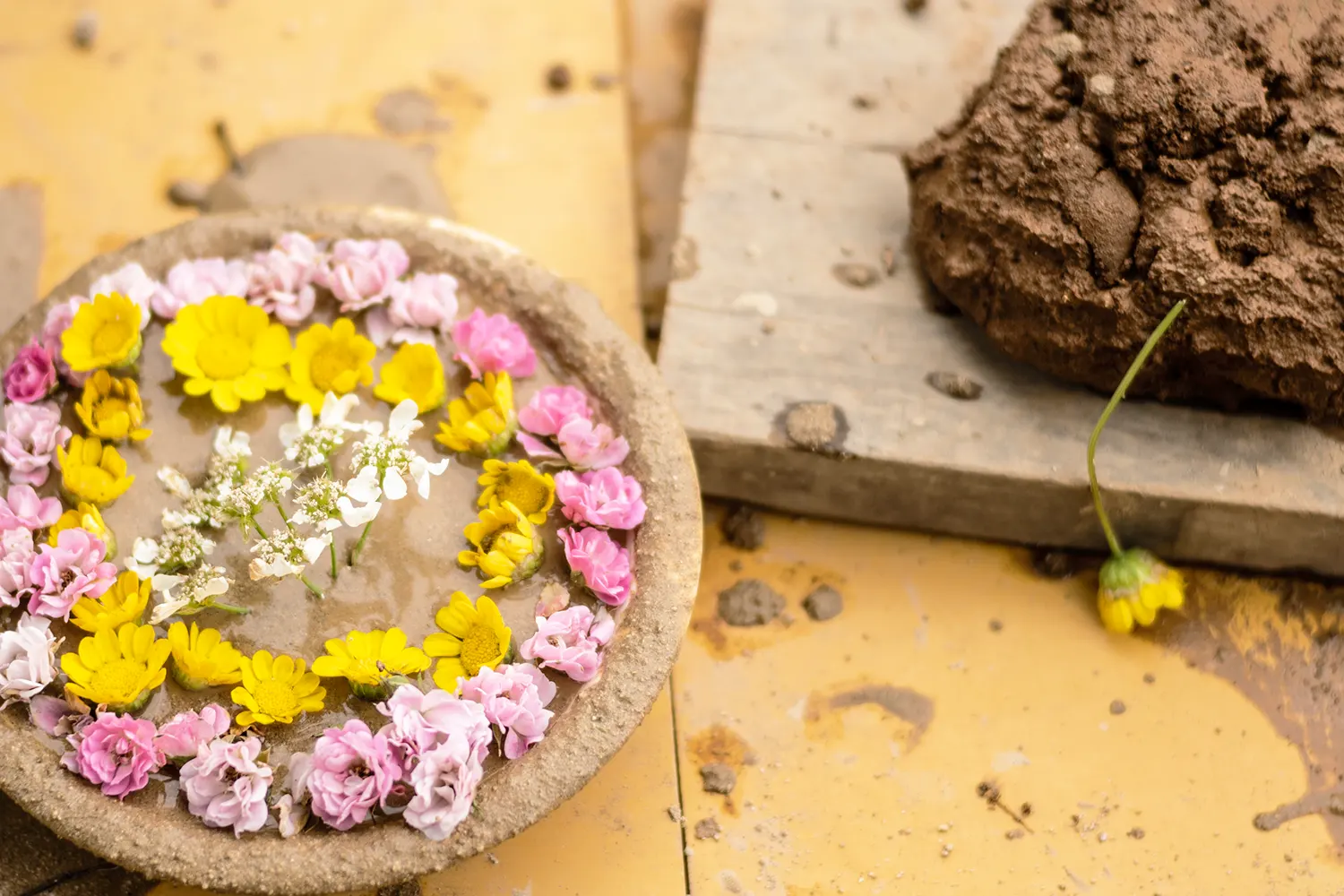 遊びが学びになる 自然素材