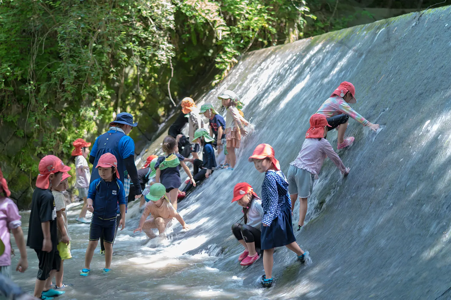 ホンモノ体験四季をとおした自然体験ことりの森