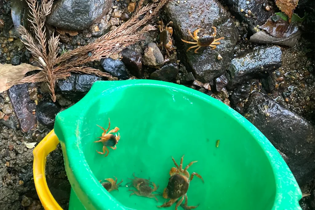 体験型交流ボランティア活動ワークキャンプ