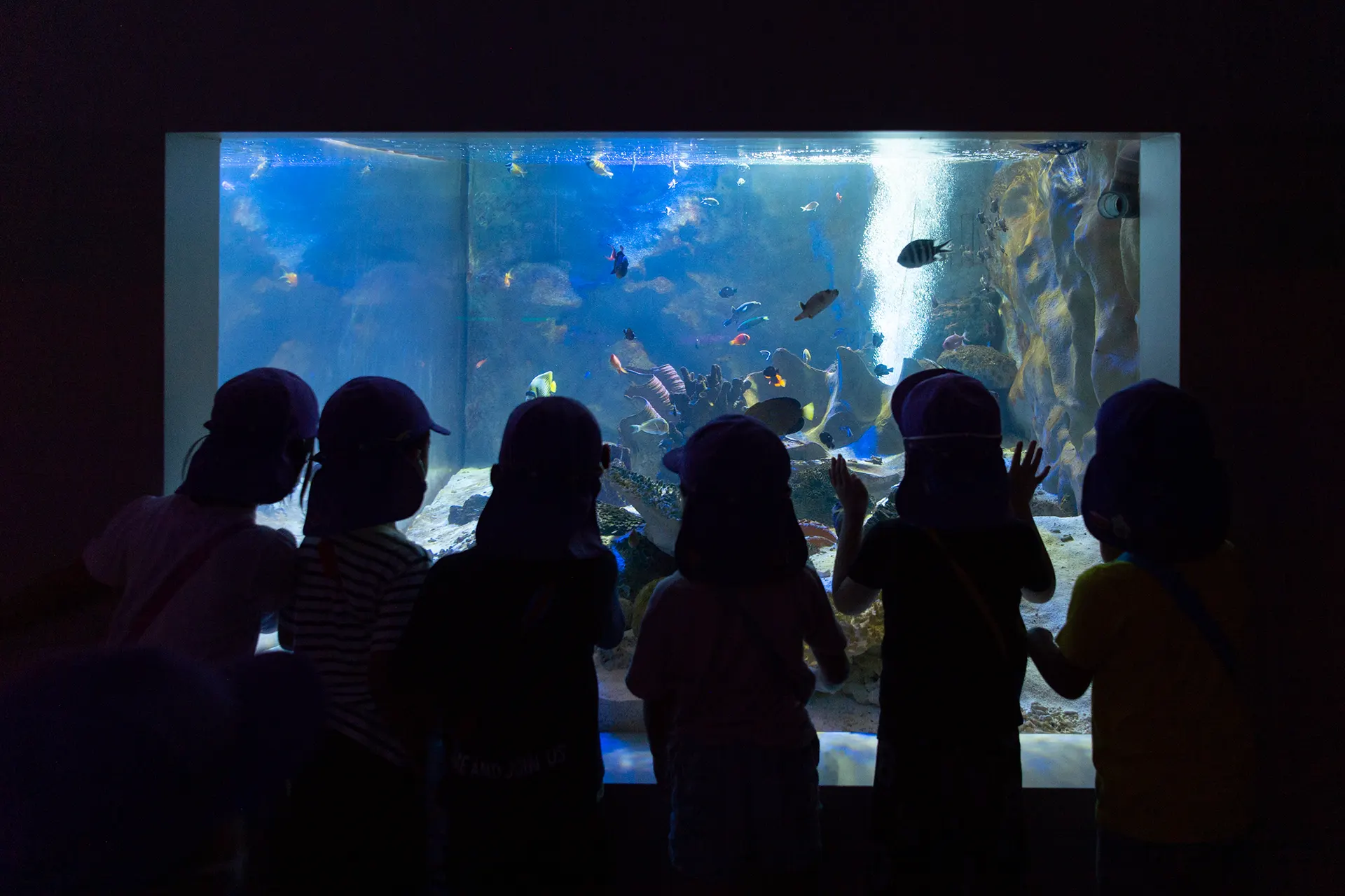 山鹿市かおう保育園 子どもたちのそばで見守り心に寄り添う